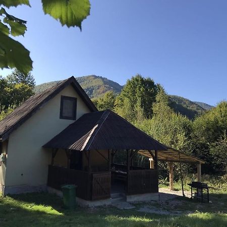 Roua - Apuseni Mountains Villa Vasaskőfalva Kültér fotó