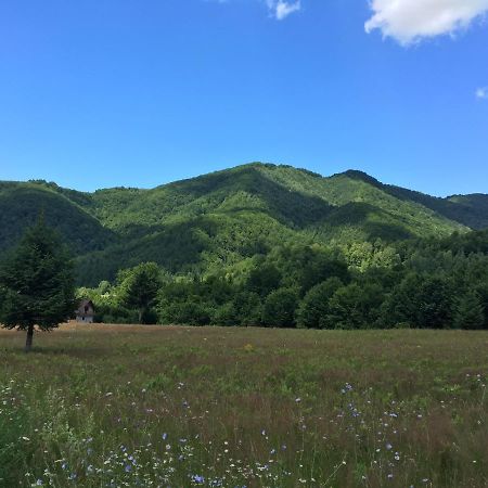 Roua - Apuseni Mountains Villa Vasaskőfalva Kültér fotó