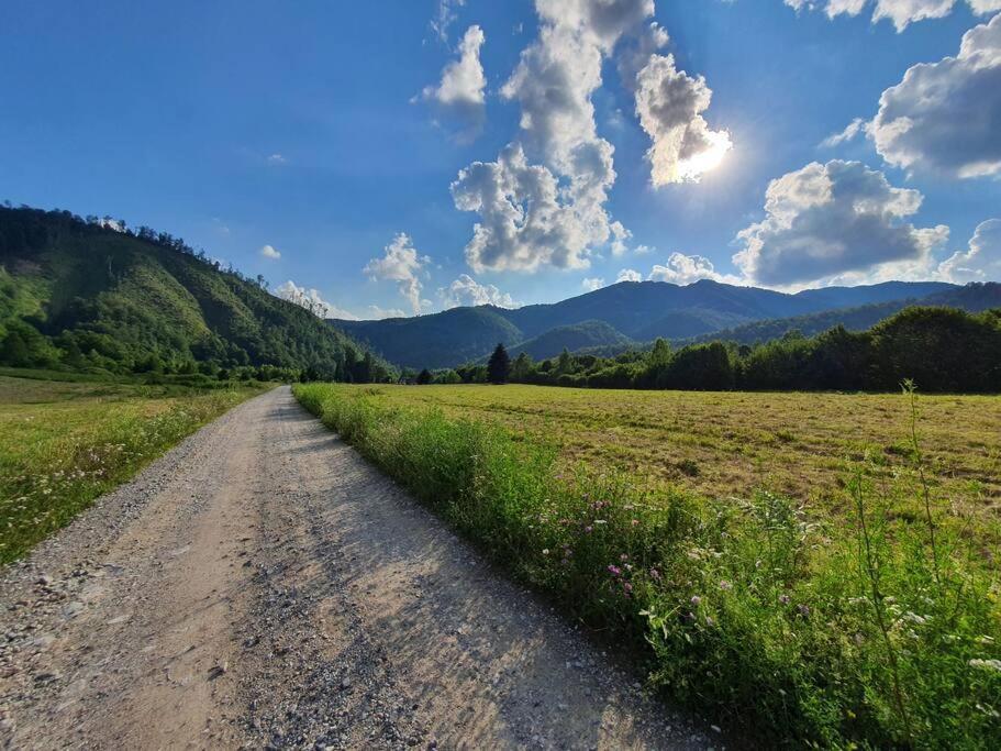 Roua - Apuseni Mountains Villa Vasaskőfalva Kültér fotó