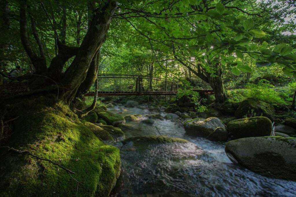 Roua - Apuseni Mountains Villa Vasaskőfalva Kültér fotó