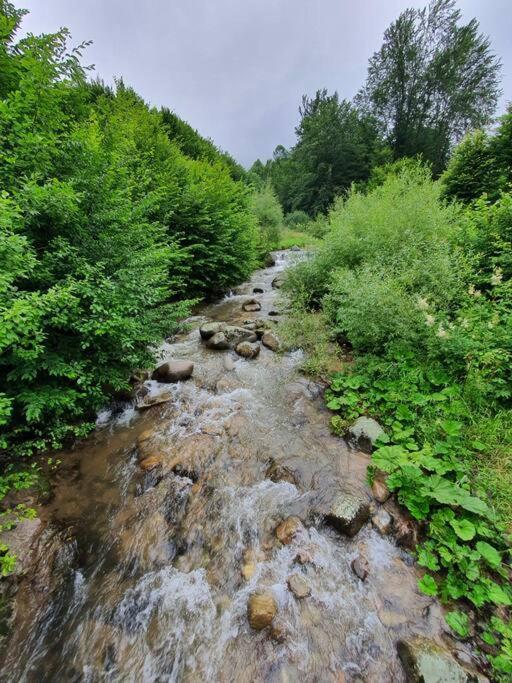 Roua - Apuseni Mountains Villa Vasaskőfalva Kültér fotó