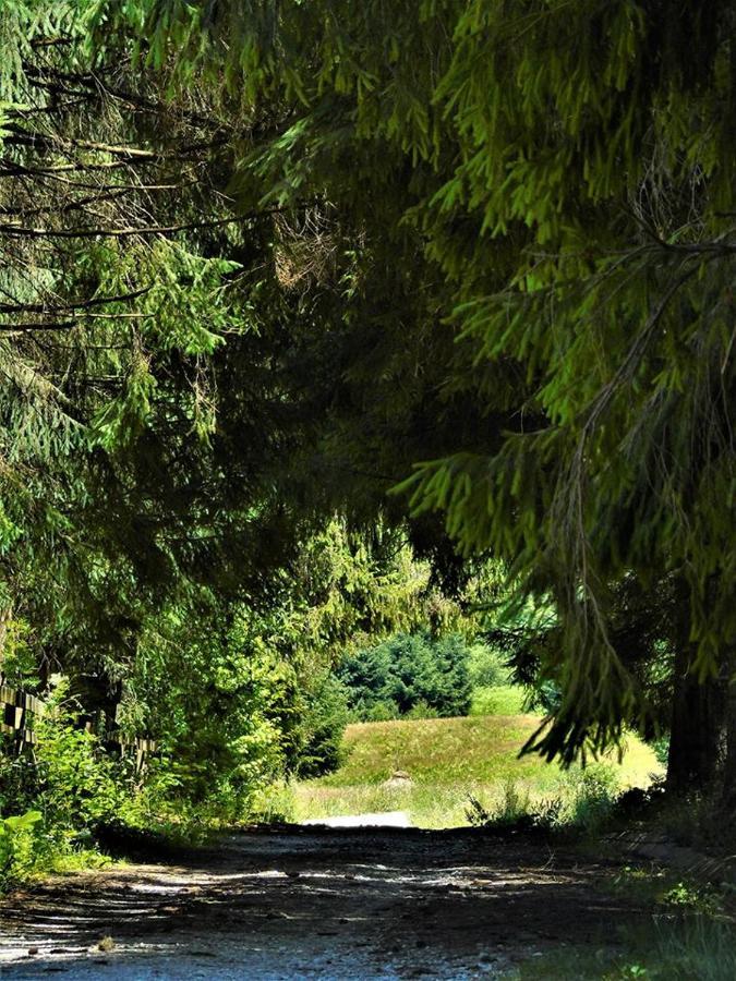 Roua - Apuseni Mountains Villa Vasaskőfalva Kültér fotó