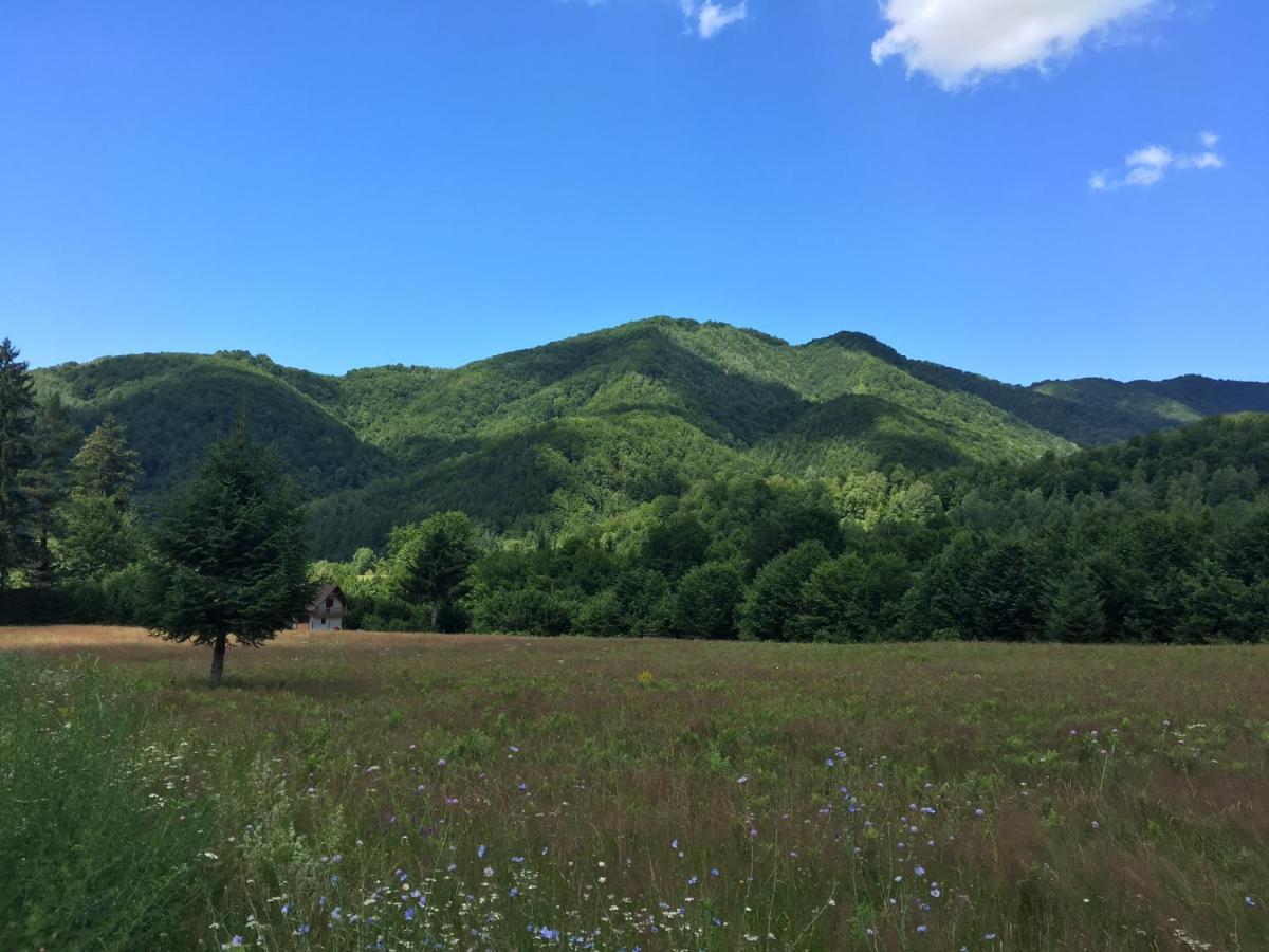 Roua - Apuseni Mountains Villa Vasaskőfalva Kültér fotó