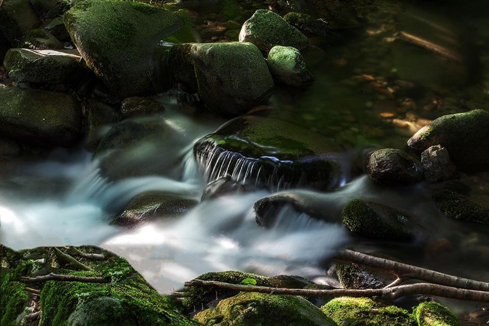 Roua - Apuseni Mountains Villa Vasaskőfalva Kültér fotó