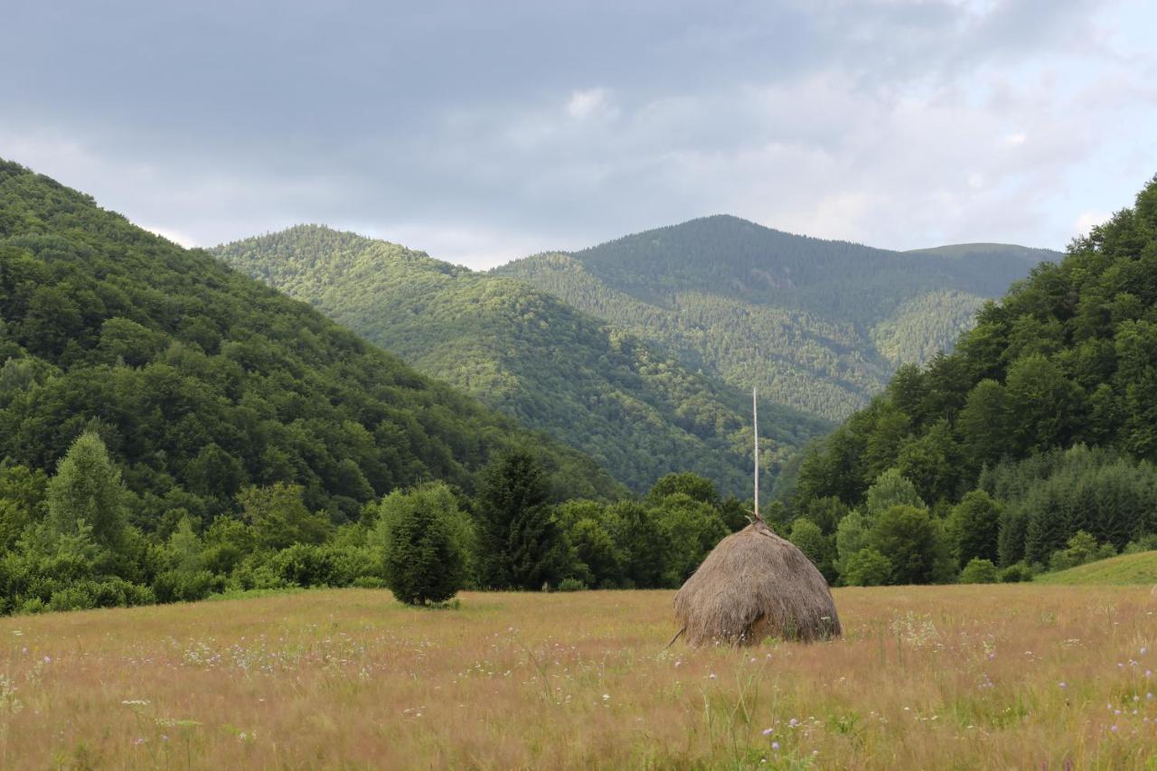 Roua - Apuseni Mountains Villa Vasaskőfalva Kültér fotó