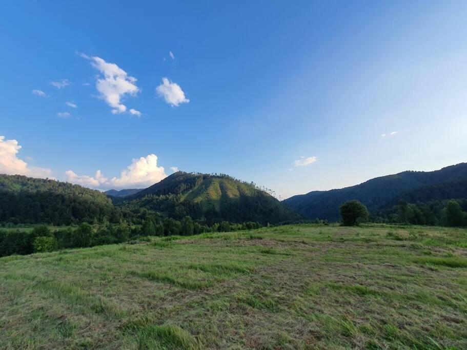 Roua - Apuseni Mountains Villa Vasaskőfalva Kültér fotó