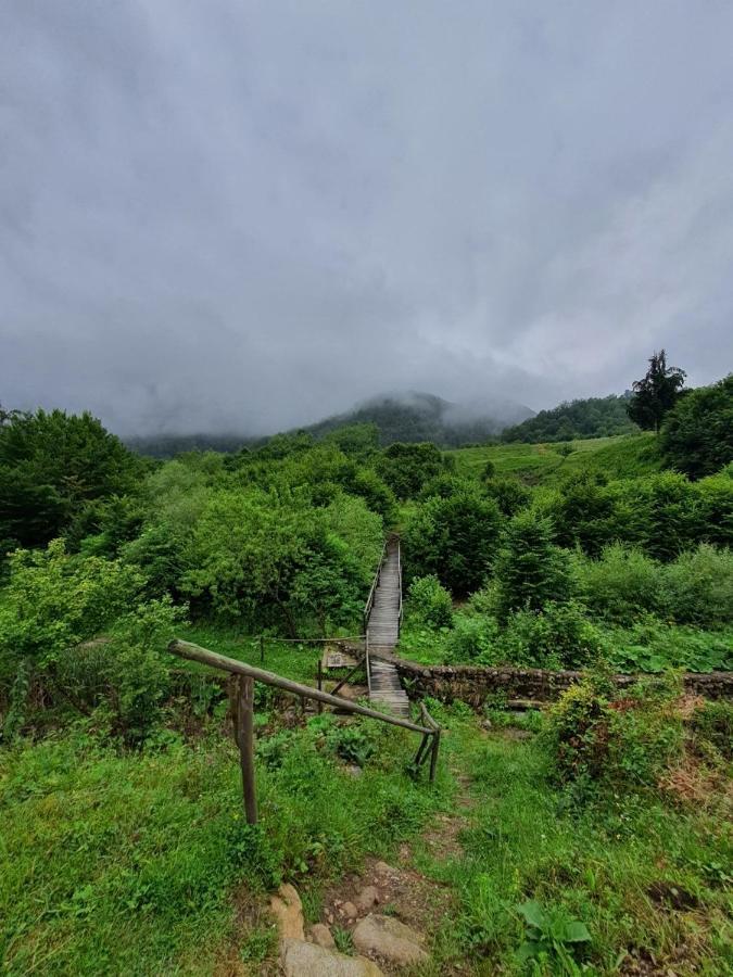 Roua - Apuseni Mountains Villa Vasaskőfalva Kültér fotó